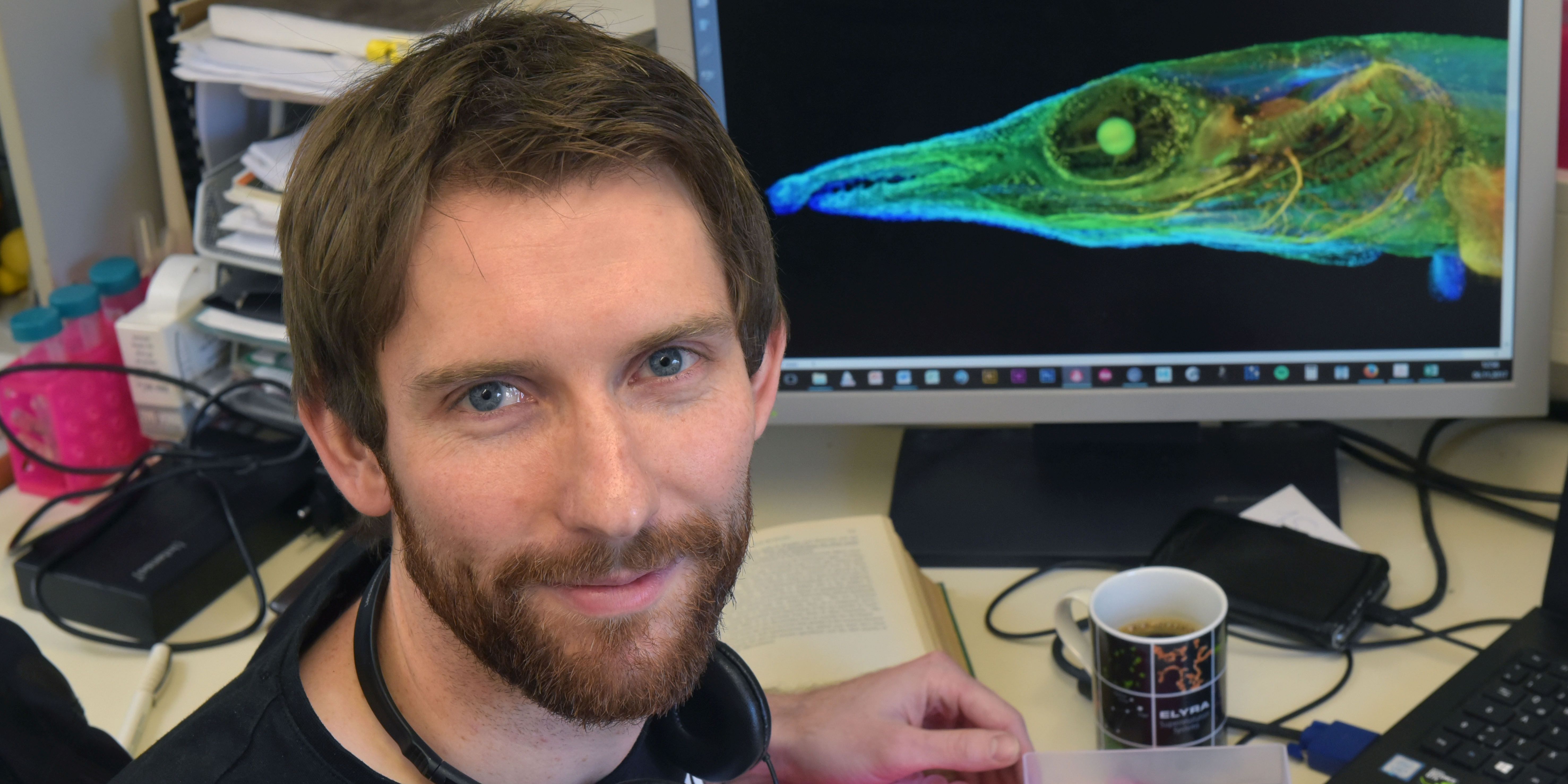 Jenaer Evolutionsbiologen identifizieren prähistorischen Fischmuskel