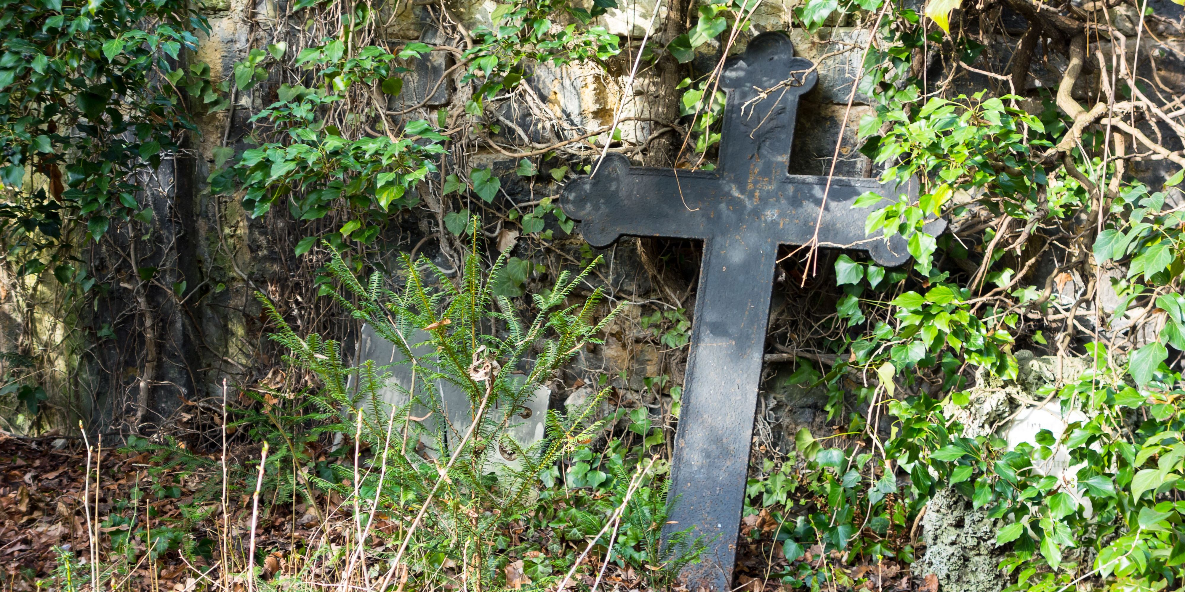 Letzter Arbeitseinsatz auf dem Johannisfriedhof