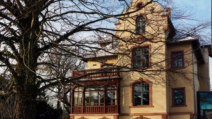 Winterpause in der Villa Rosenthal