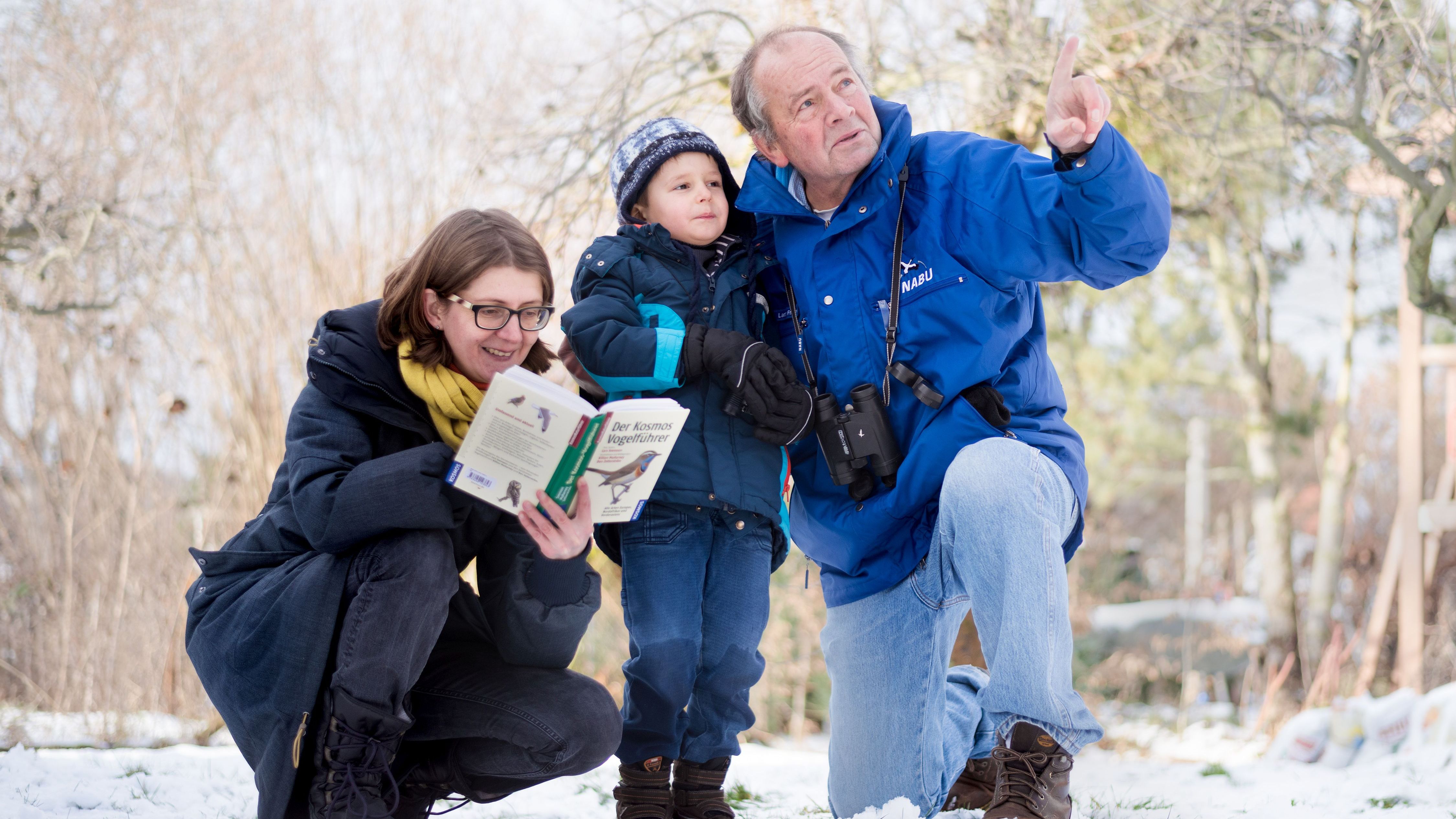 Wieder „Stunde der Wintervögel“