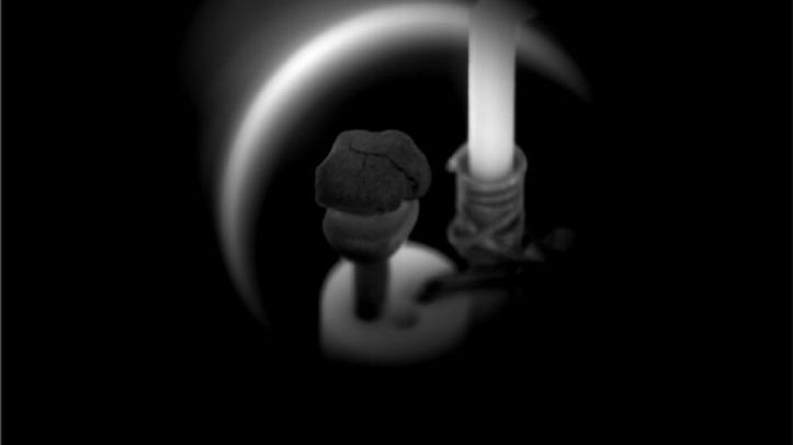 Bundesförderung für Forschungsverbund