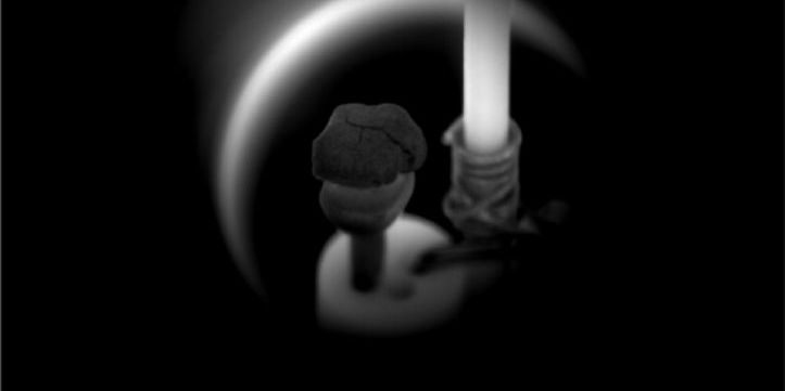 Bundesförderung für Forschungsverbund