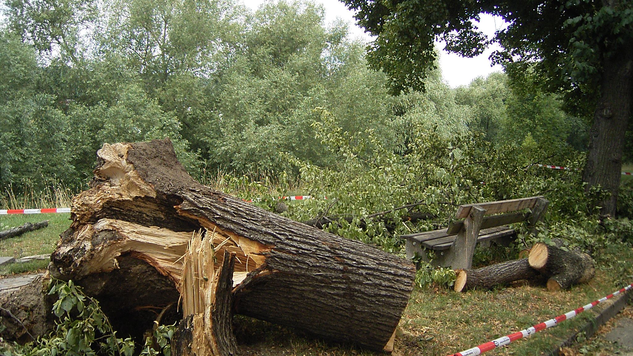 Bilanz zum Sturmtief „Friederike“