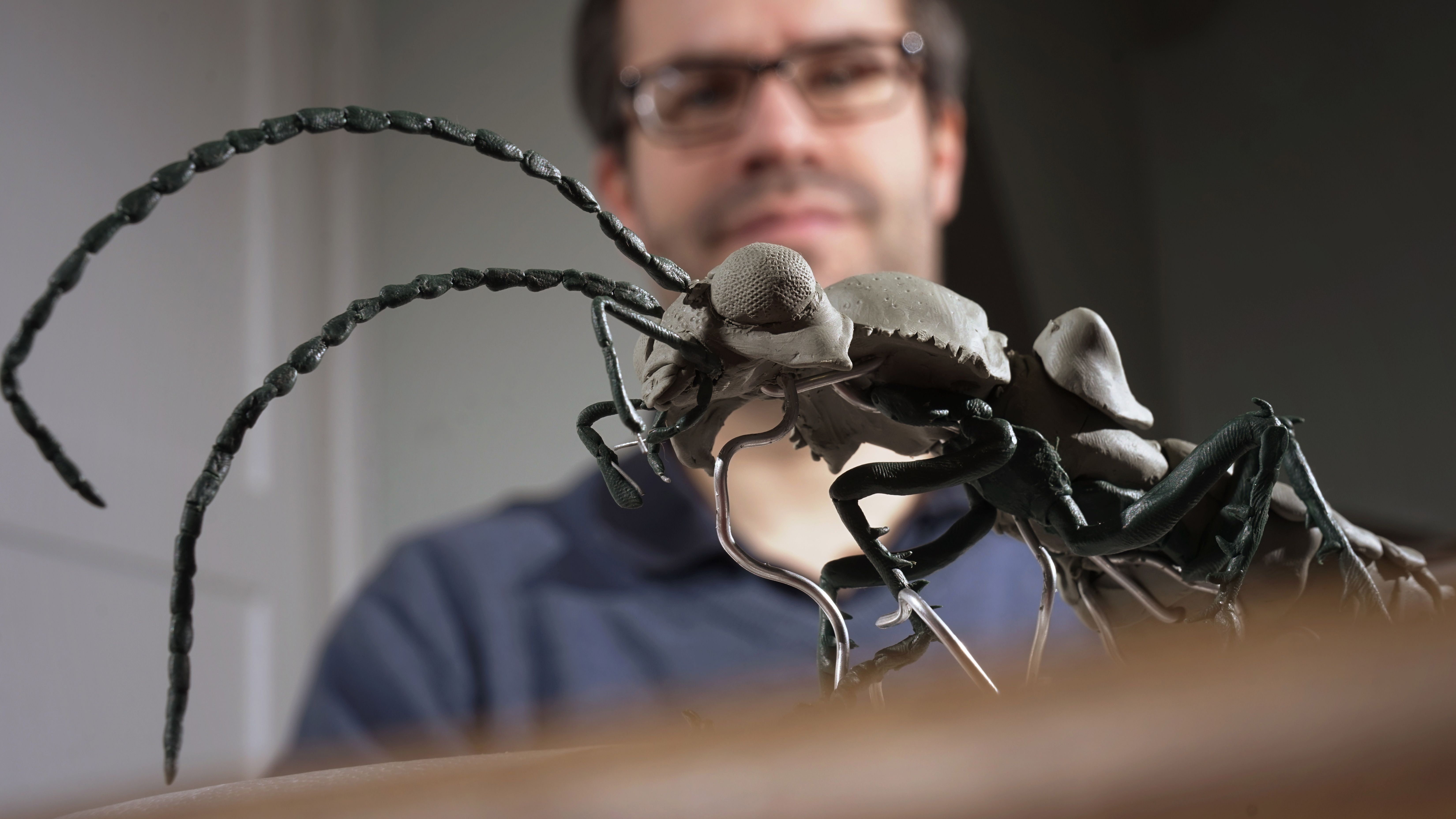 Neue Insektenart mit eigenwilliger Paarungspraktik von Jenaer Forschern entdeckt