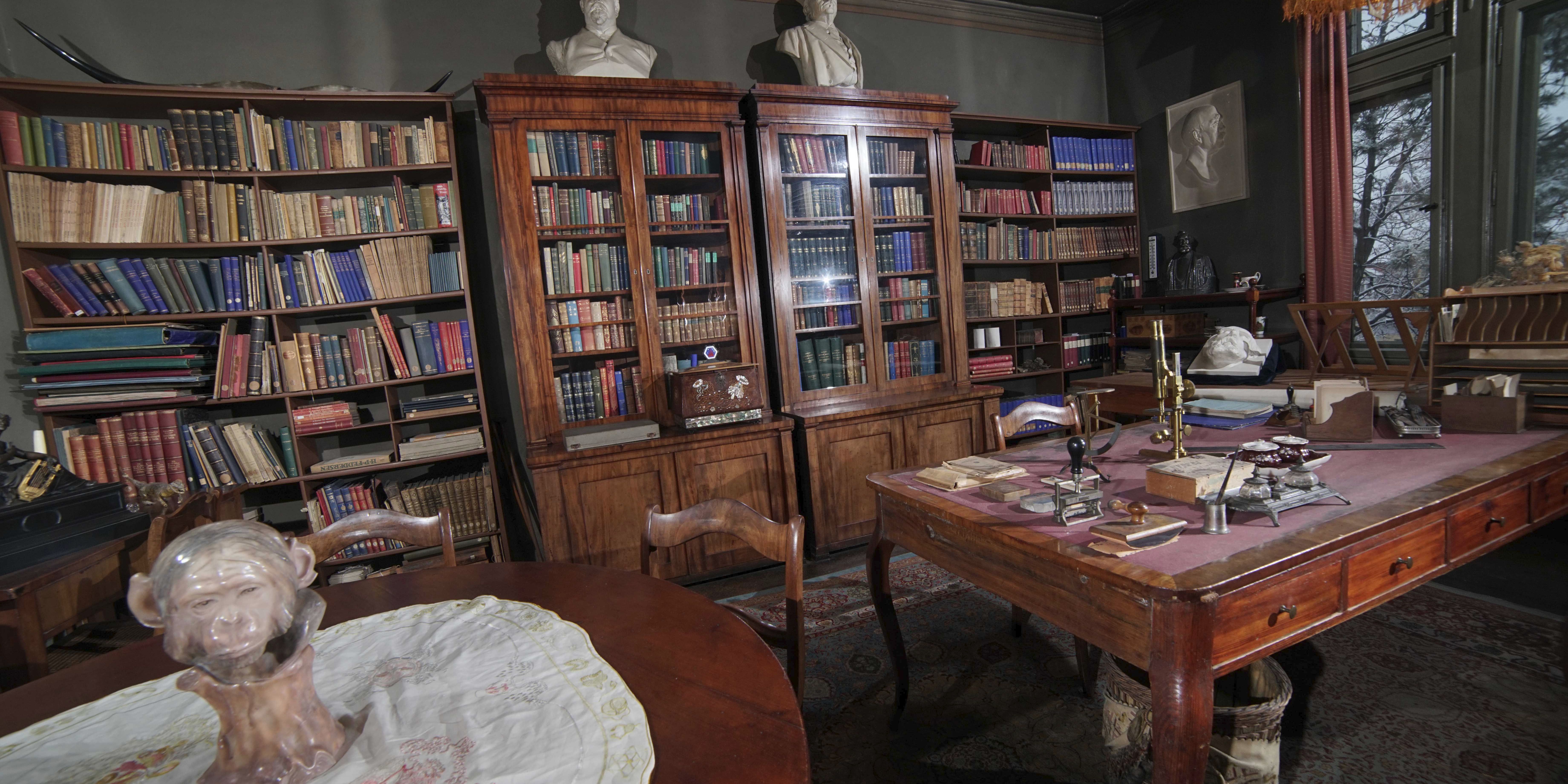 Ernst-Haeckel-Haus ab Februar geschlossen