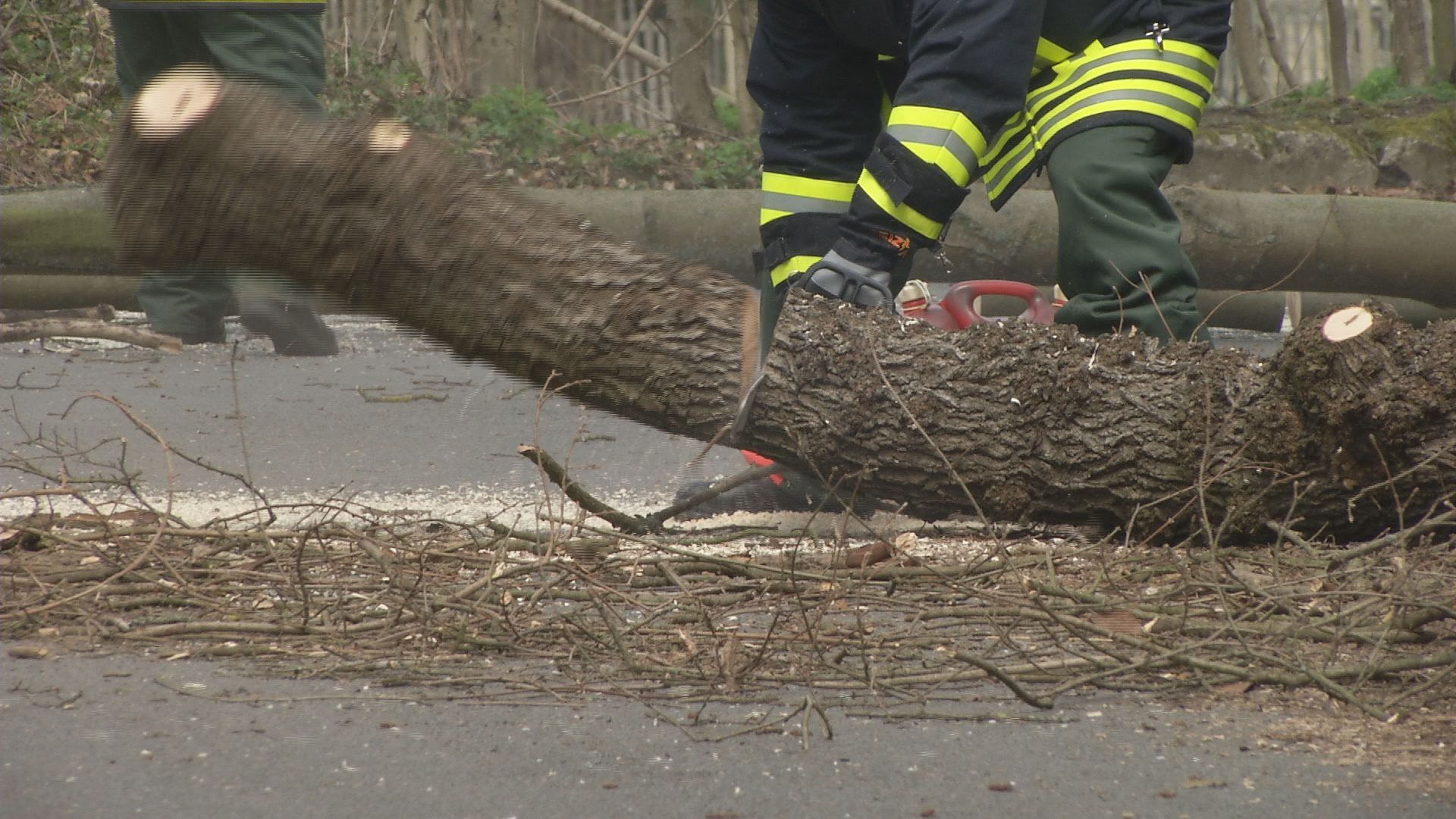 Sturm-Bilanz im Saale-Holzland-Kreis