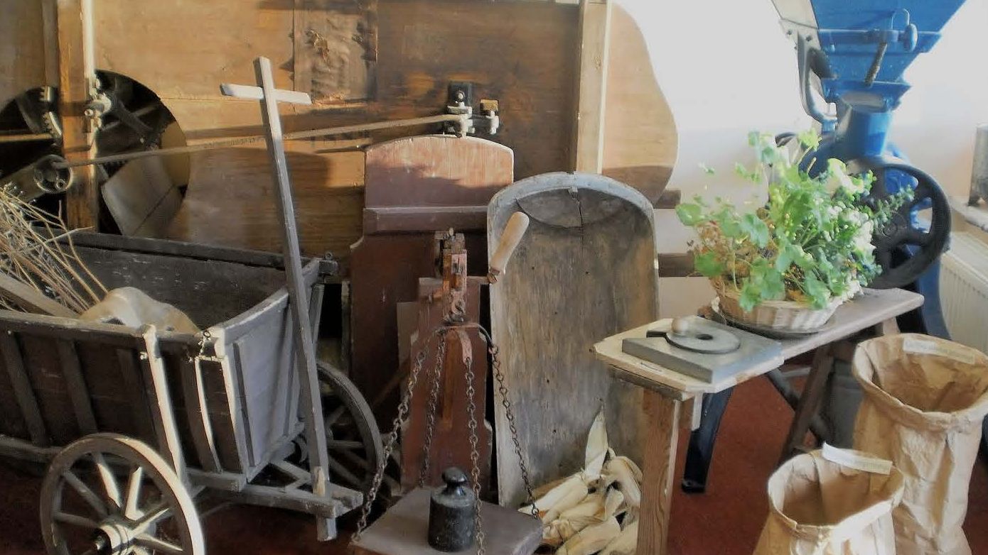 Tag der offenen Tür in Senfmanufaktur und Senfmuseum am Samstag