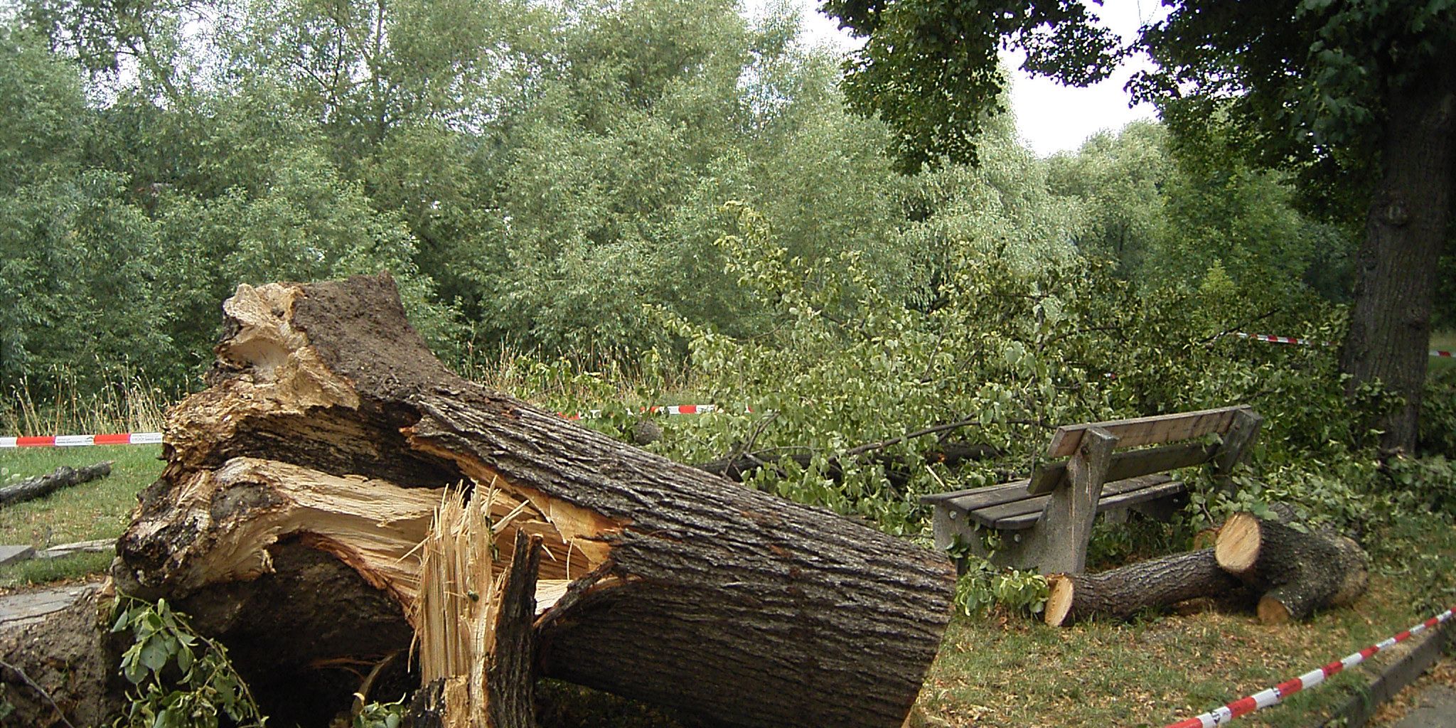 Bilanz zum Sturmtief „Friederike“ Bilanz zum Sturmtief „Friederike“
