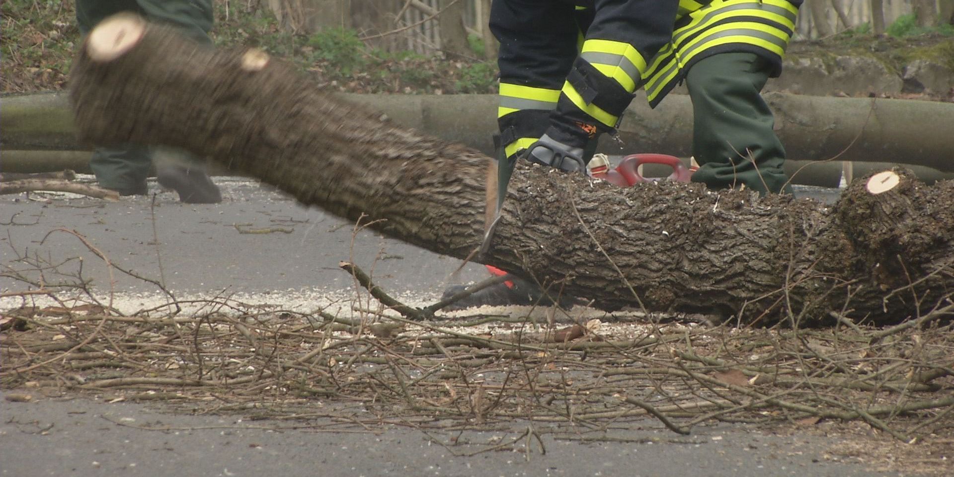 Sturm-Bilanz im Saale-Holzland-Kreis