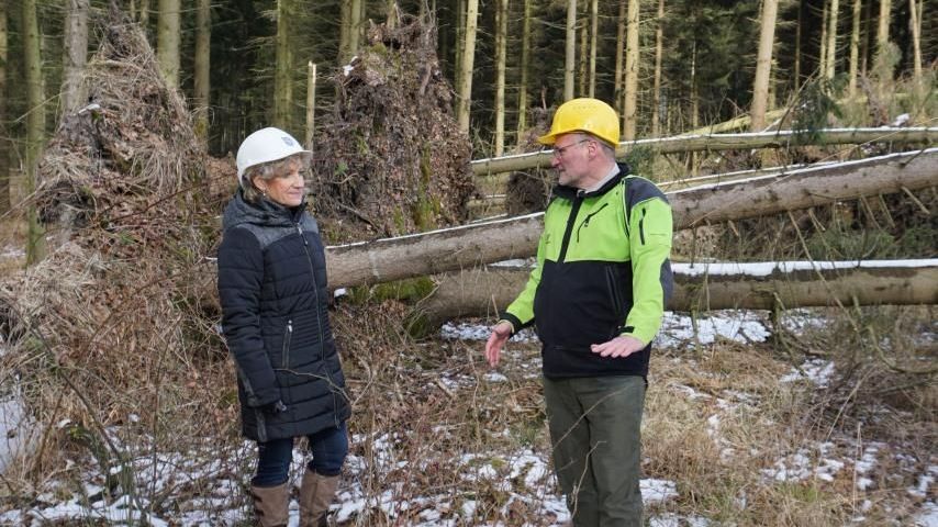 ThüringenForst bremst Einschlag im Nadelholz