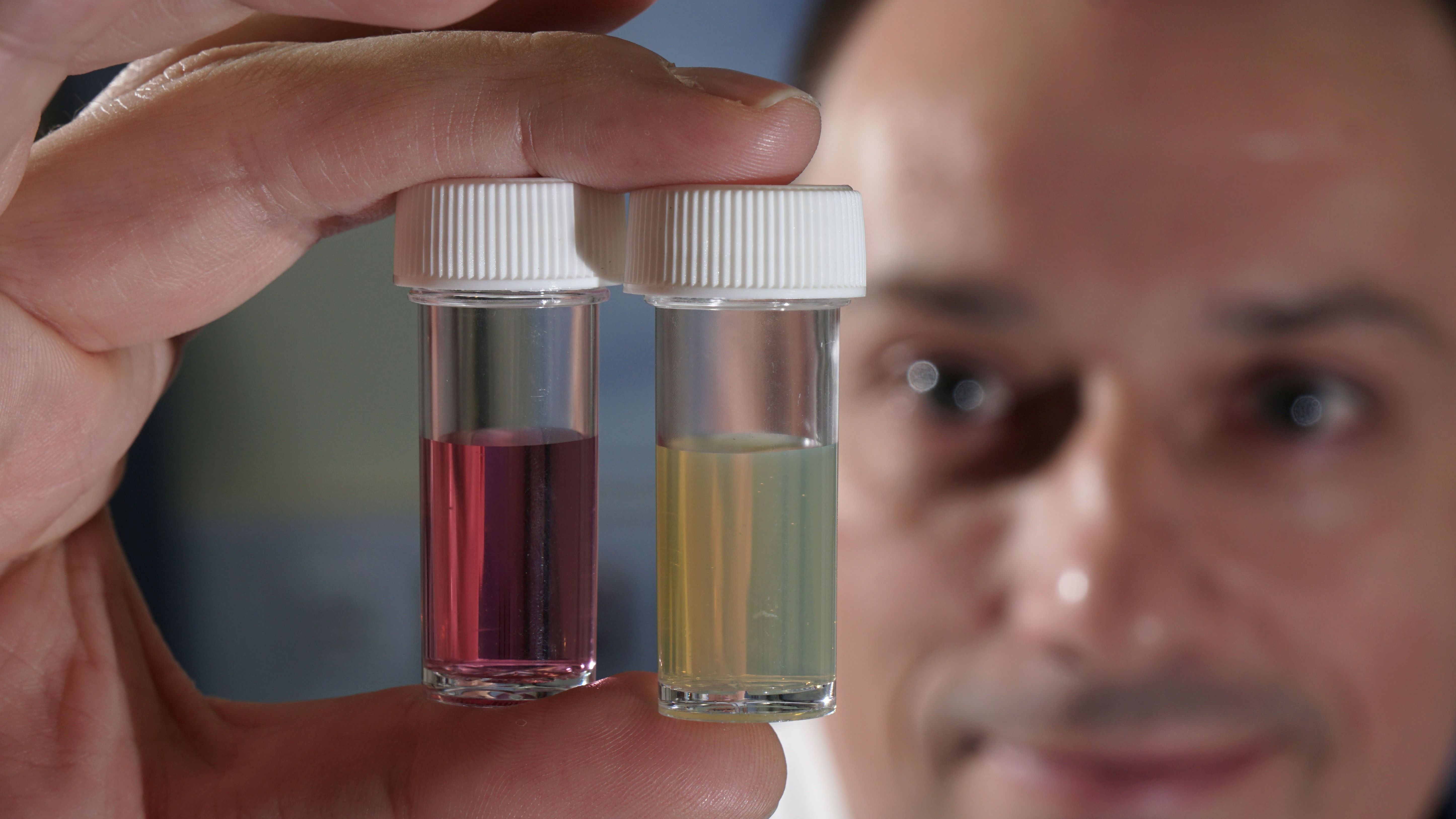 Nanopartikel in Lebensmitteln