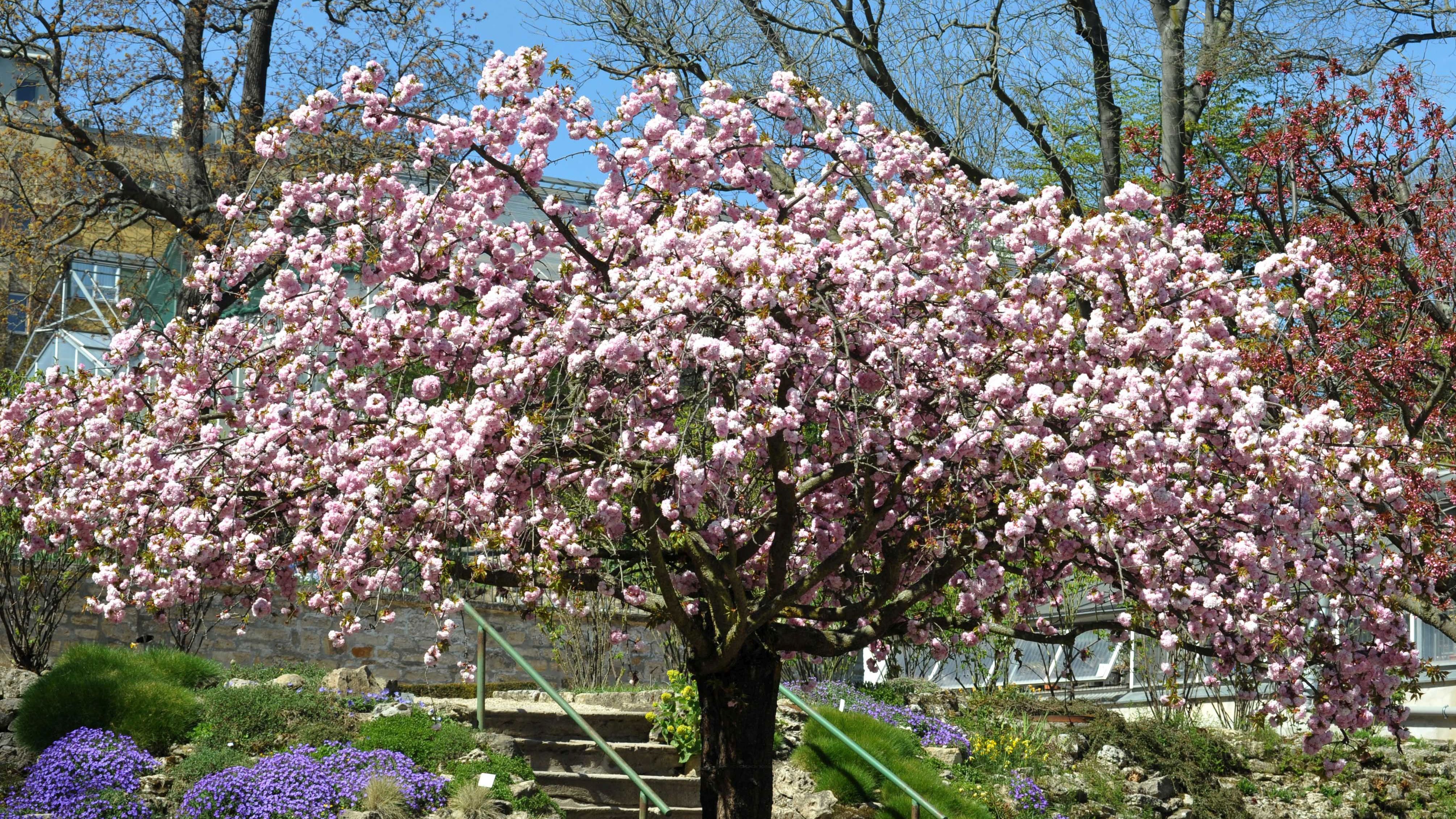 Frühstart in den Frühling