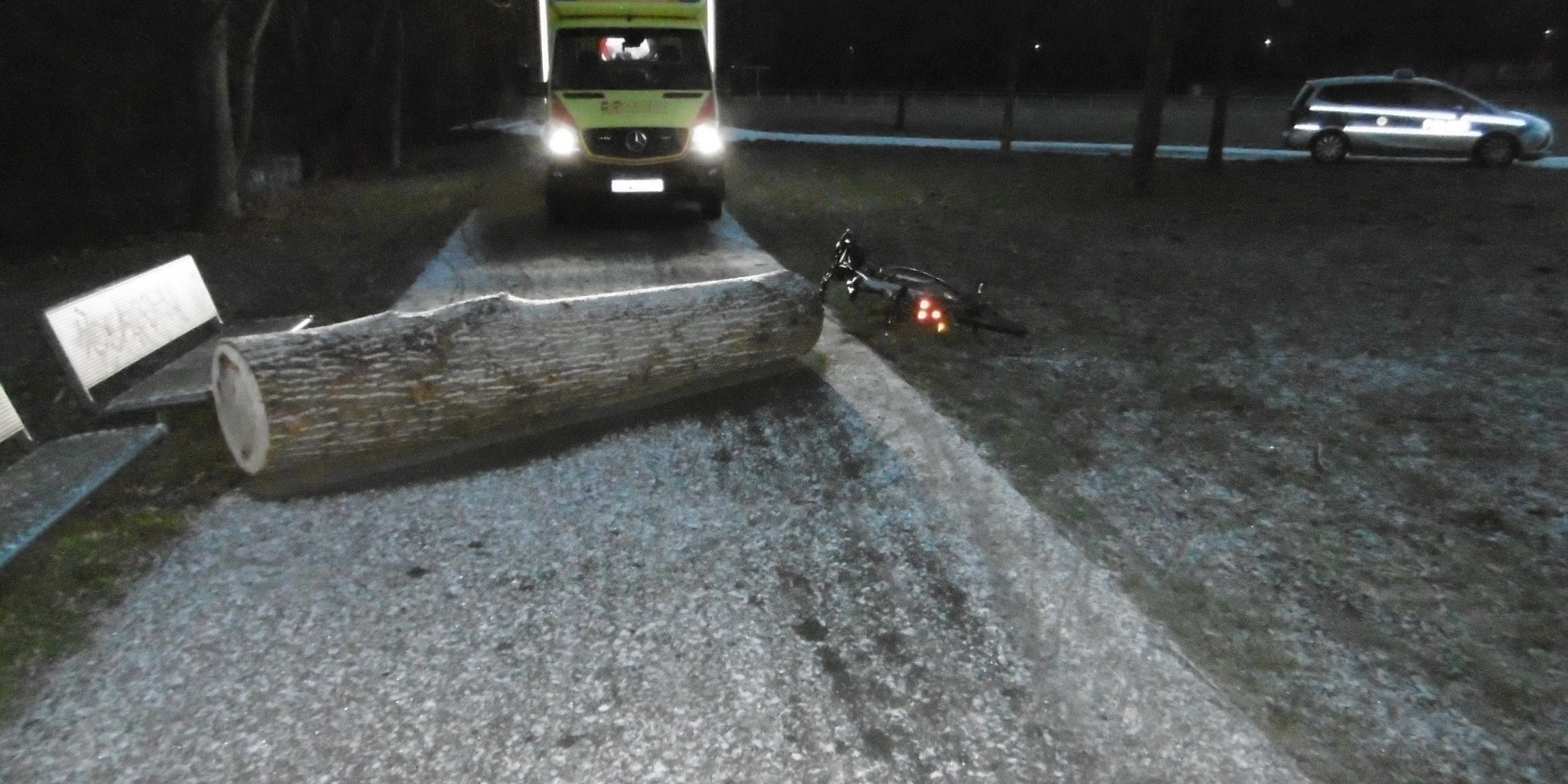 Baumstamm auf Radweg: Radfahrer schwer verletzt