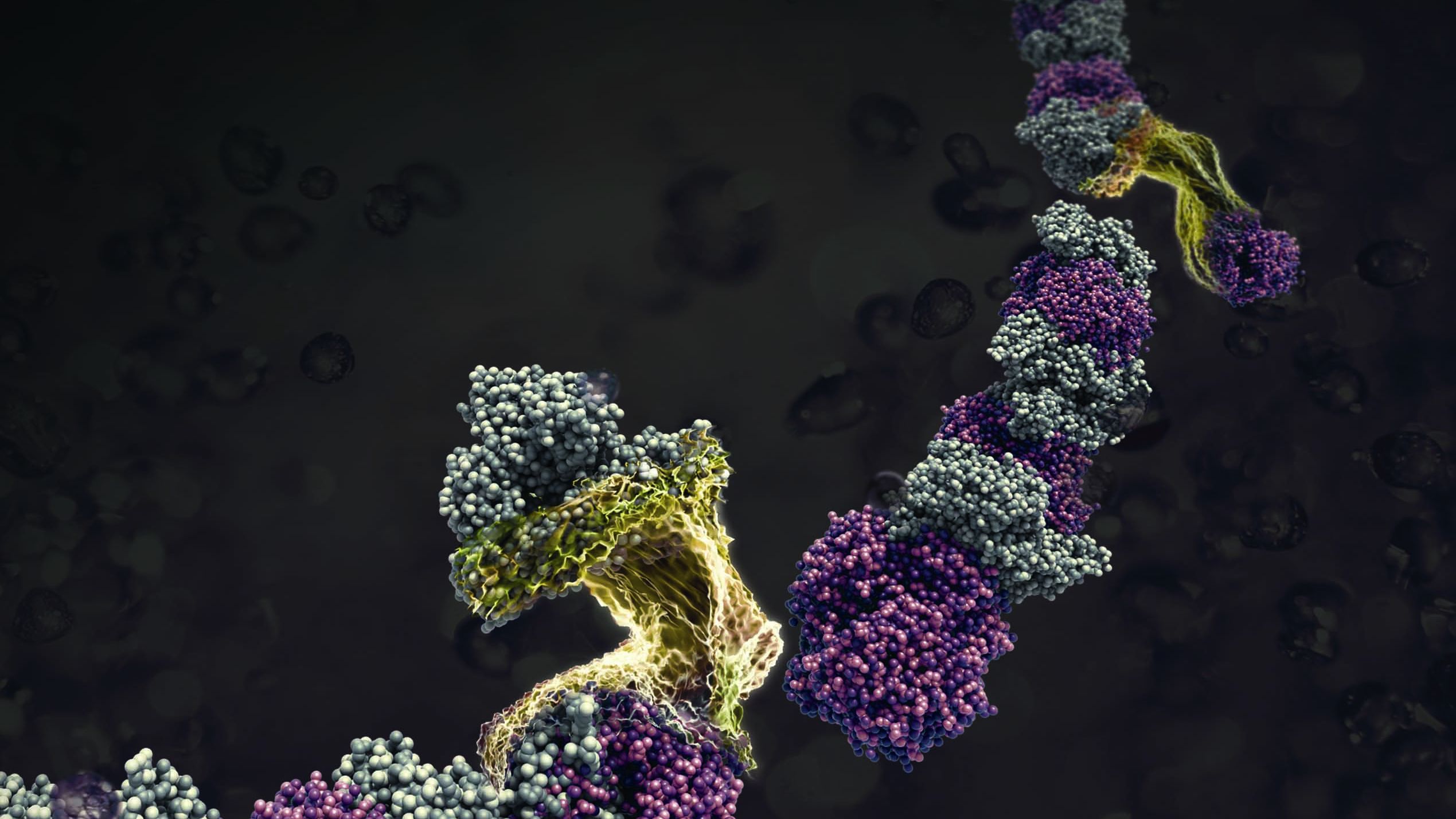 Nanomaterial aus Naturstoffen