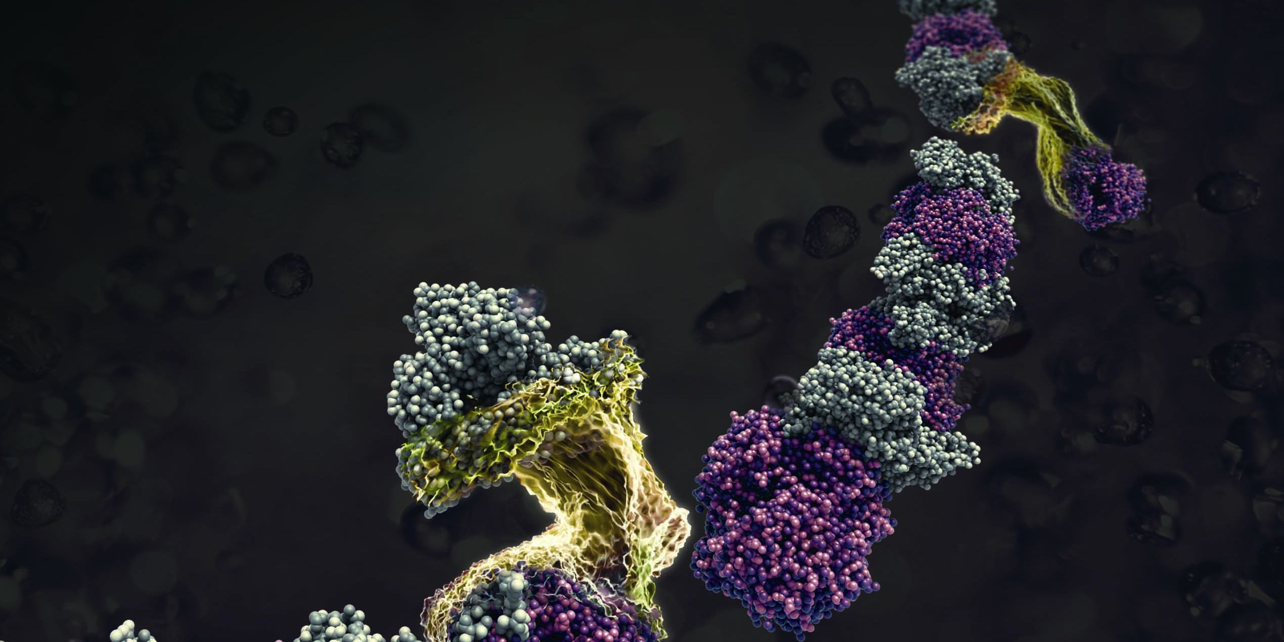 Nanomaterial aus Naturstoffen