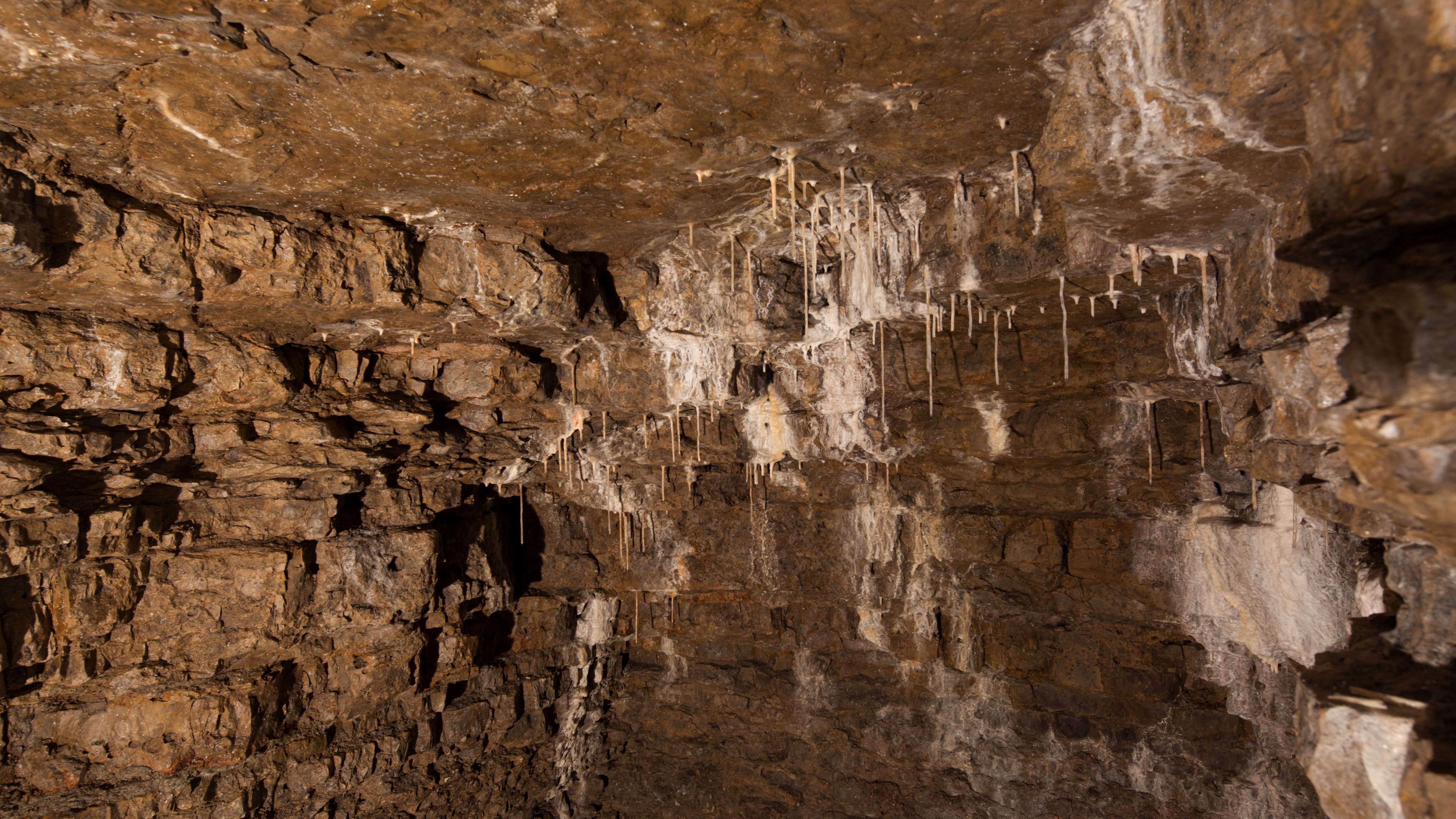Gera: Historische Höhler nach Winterpause wieder geöffnet