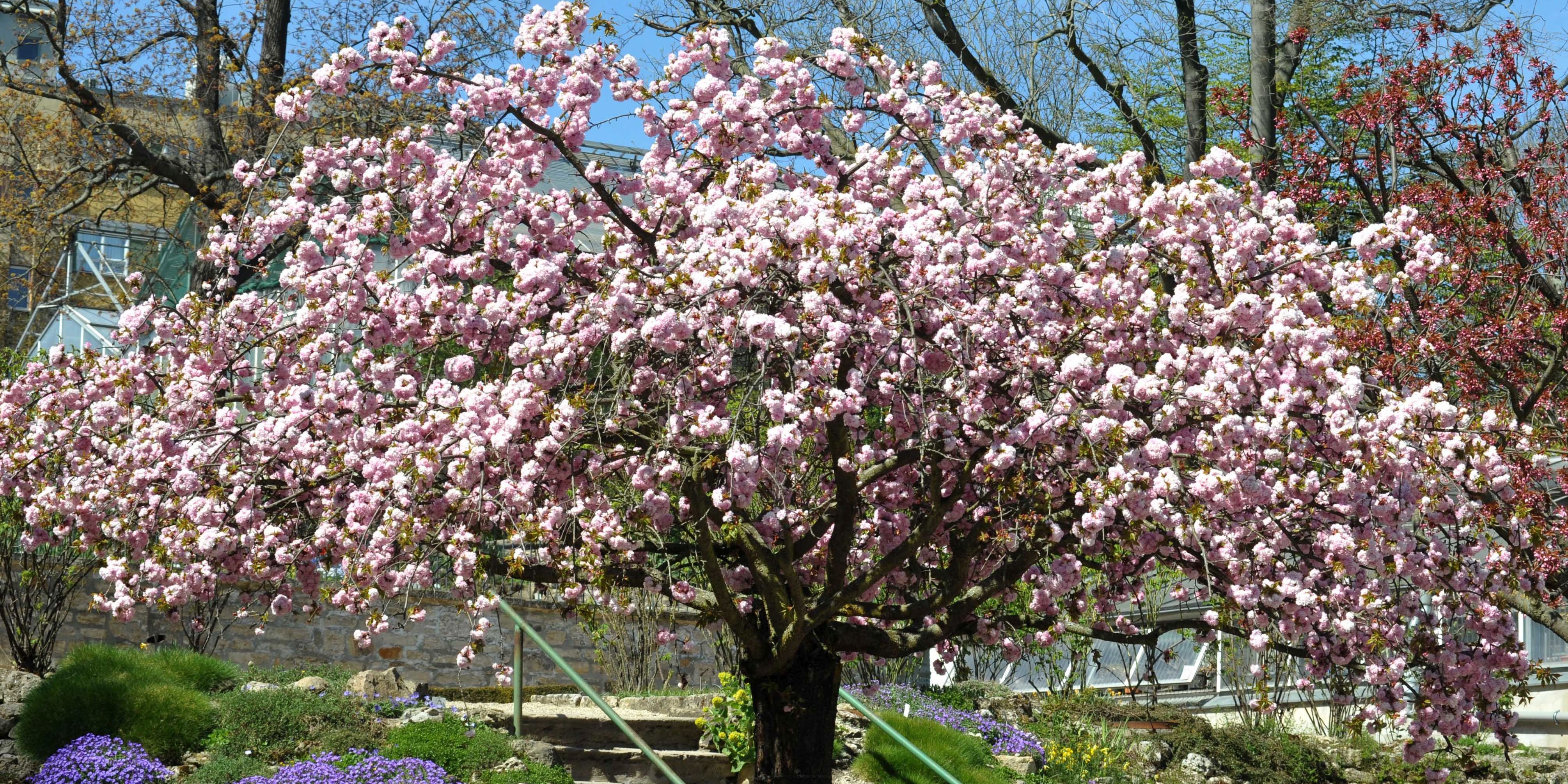 Frühstart in den Frühling