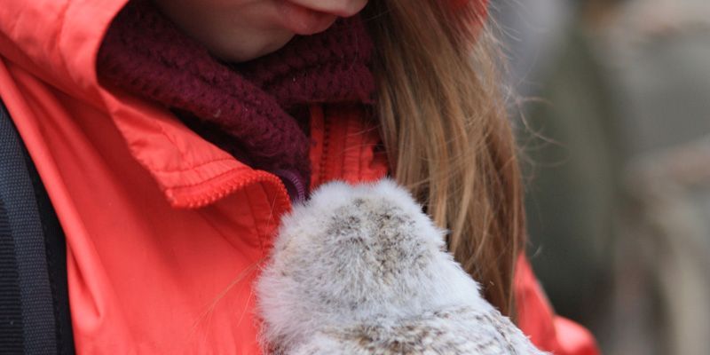Naturschutzjugend-Kindercamp im Teichgebiet