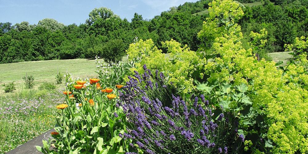 Pflegeabend zu ätherischen Ölen Pflegeabend zu ätherischen Ölen