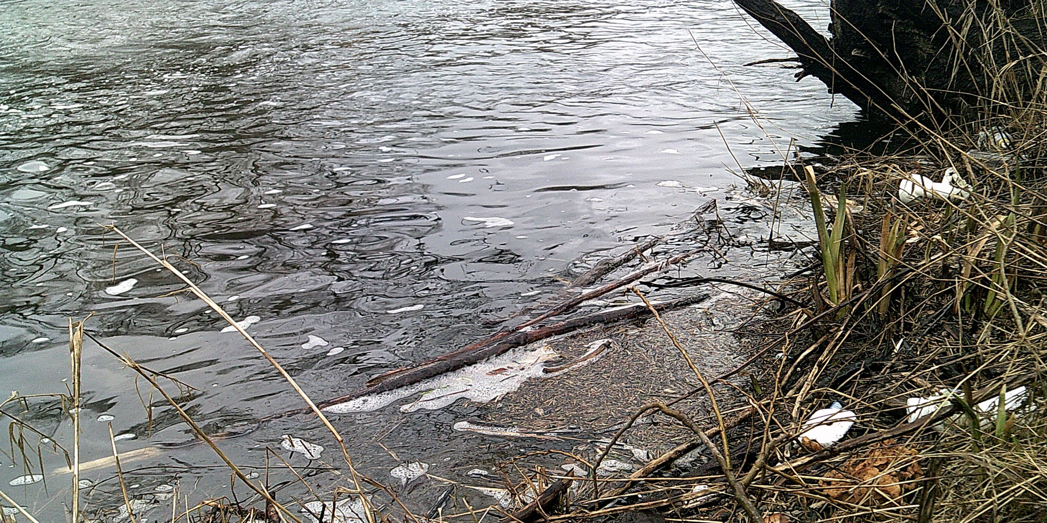 12. Jenaer Saaleputz am 24. März