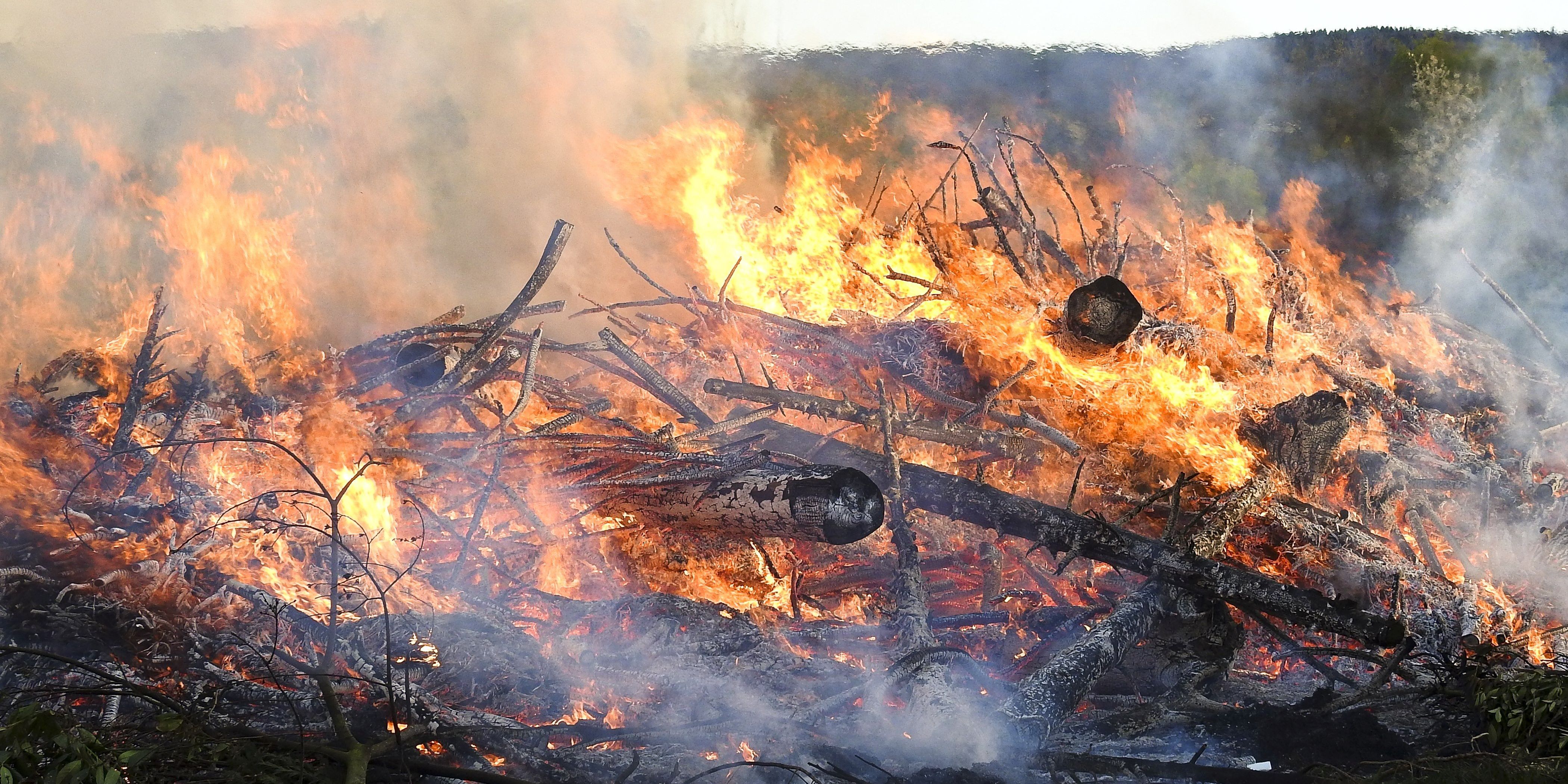 Rücksichtnahme auf Tiere beim Osterfeuer