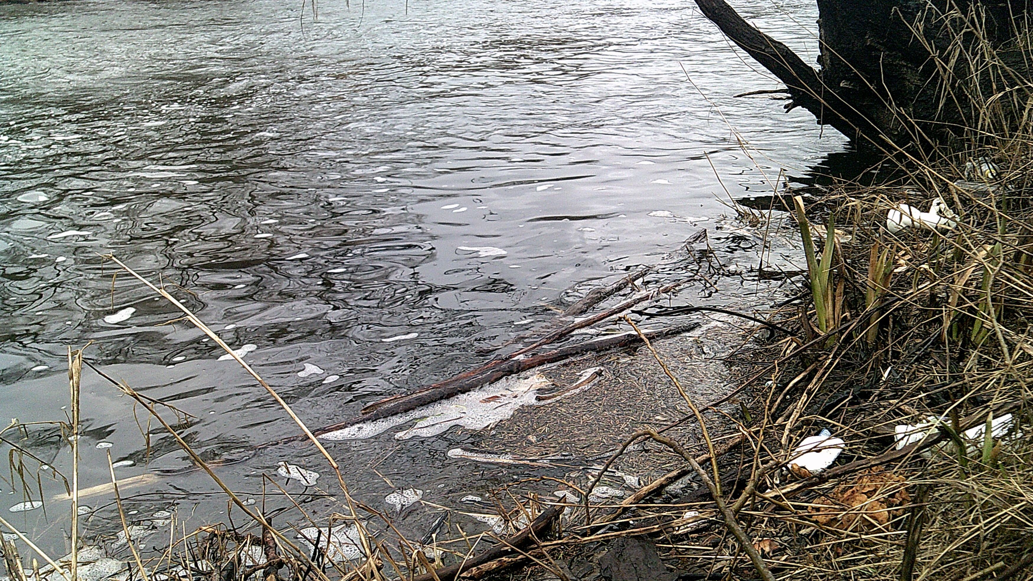 12. Jenaer Saaleputz am 24. März