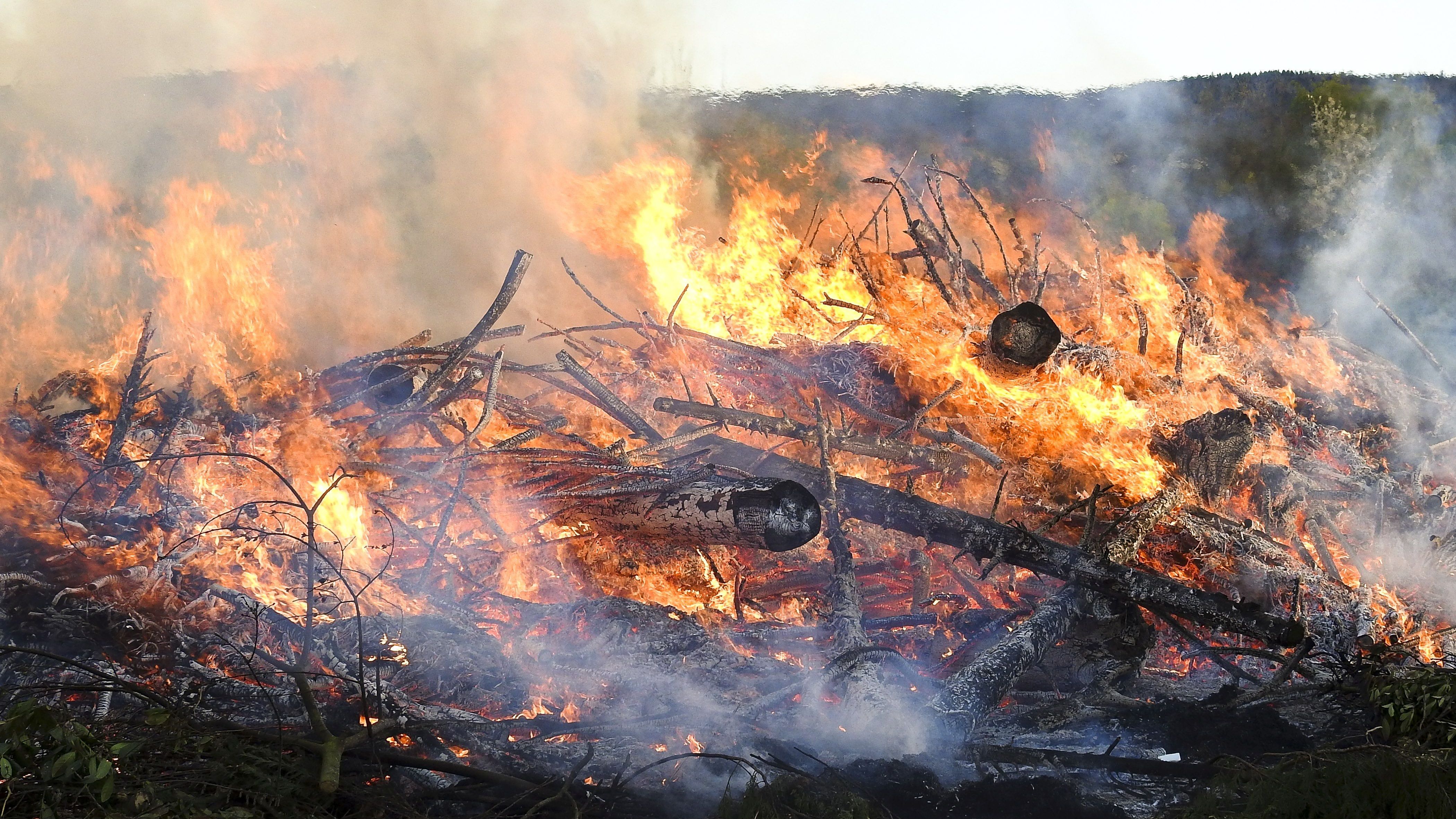 Rücksichtnahme auf Tiere beim Osterfeuer