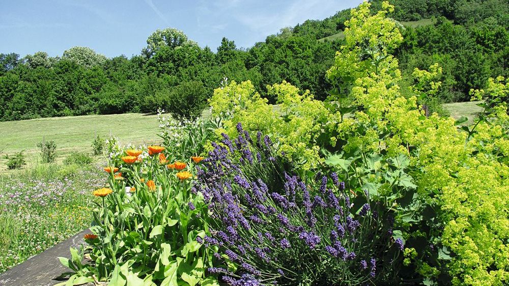 Pflegeabend zu ätherischen Ölen 