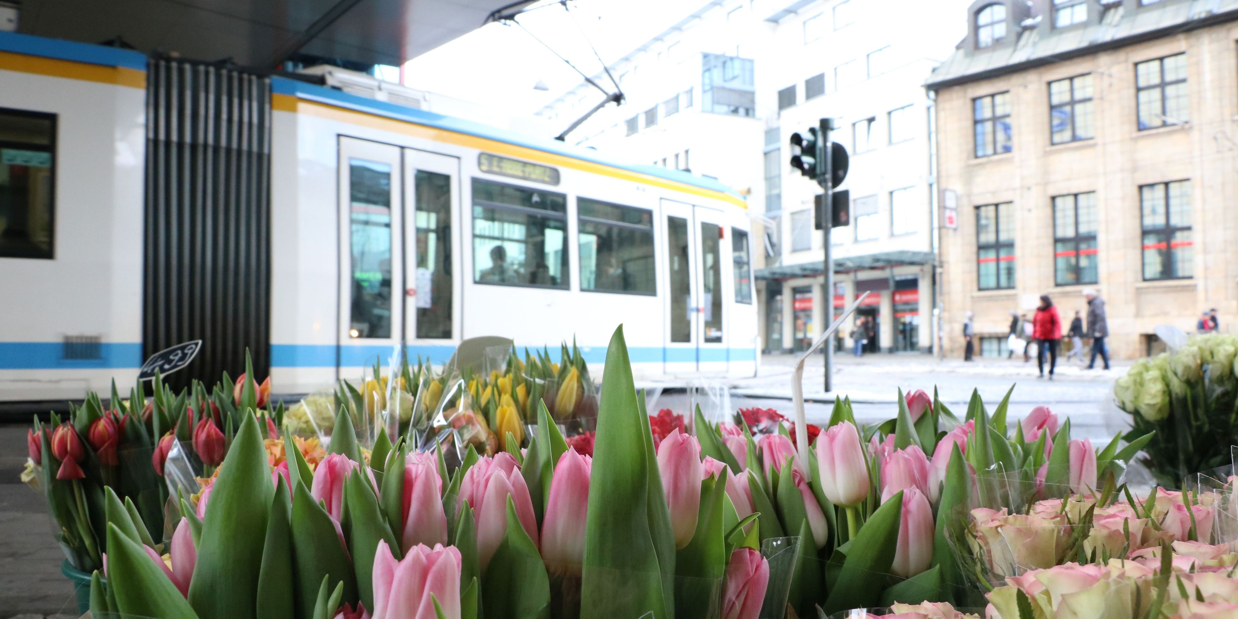 Während der Osterferien gilt Ferienfahrplan