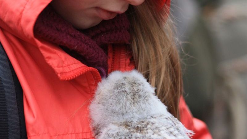 Naturschutzjugend-Kindercamp im Teichgebiet