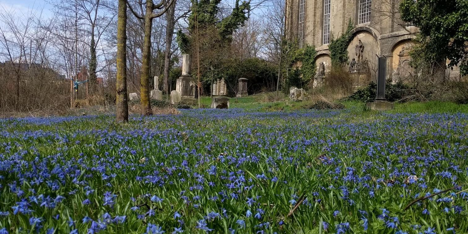Arbeitseinsatz auf dem Johannisfriedhof