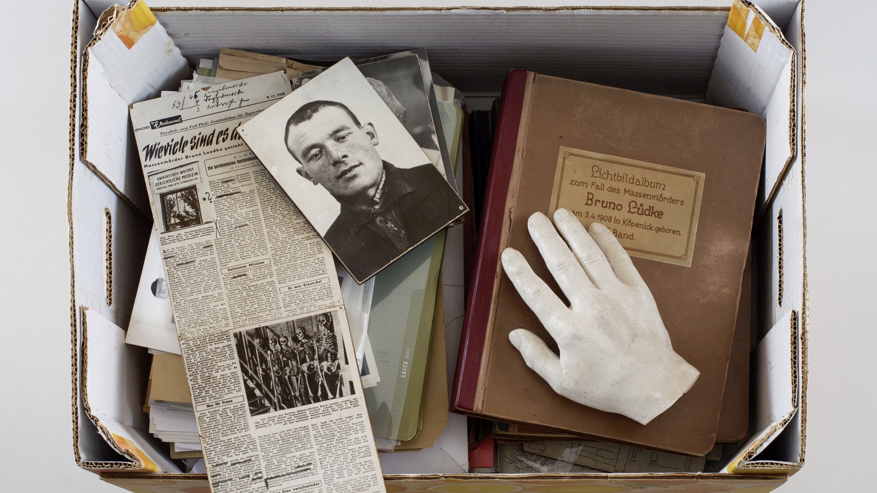 Publikation: Die Faszination des Bösen  