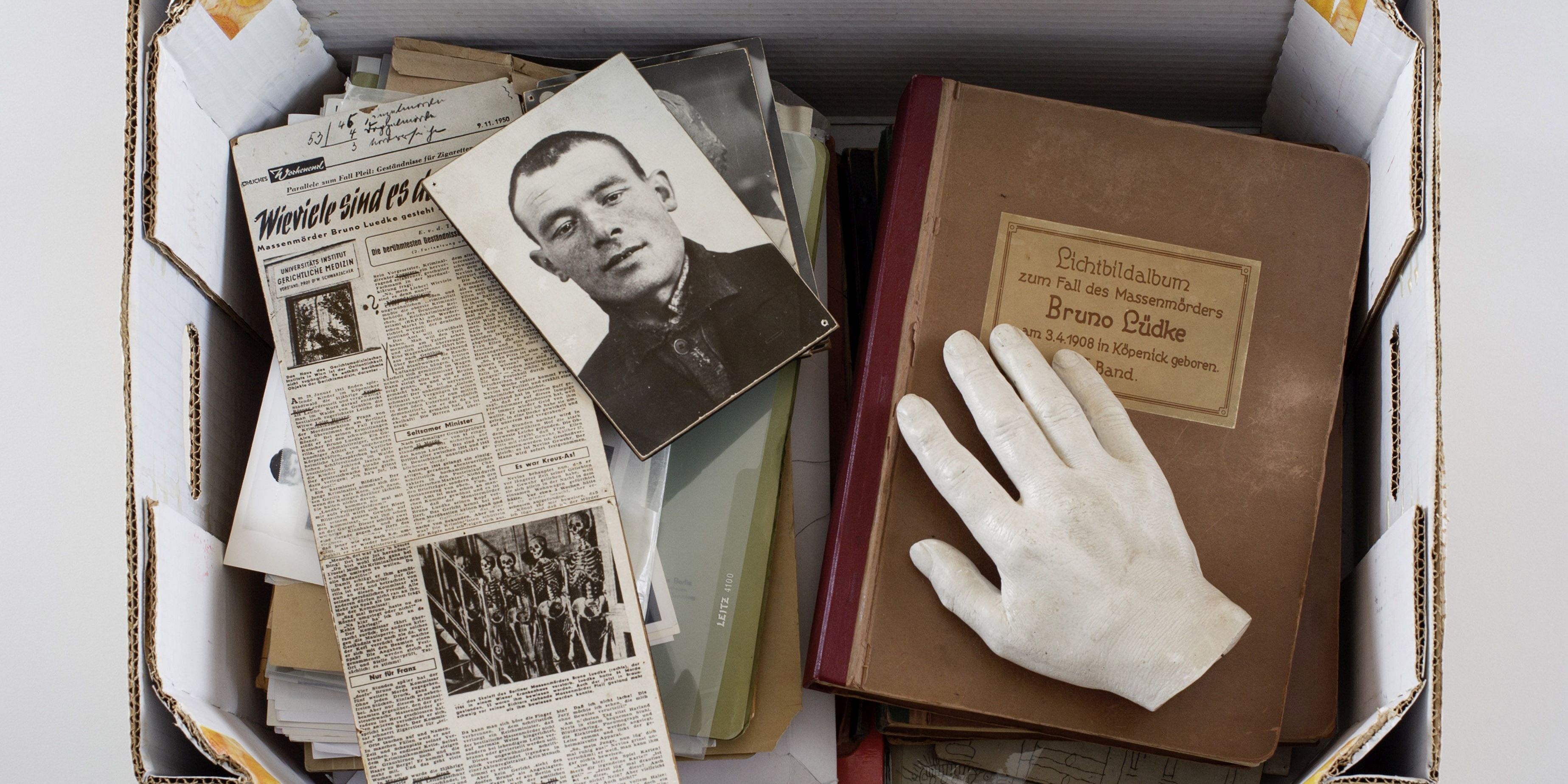 Publikation: Die Faszination des Bösen  