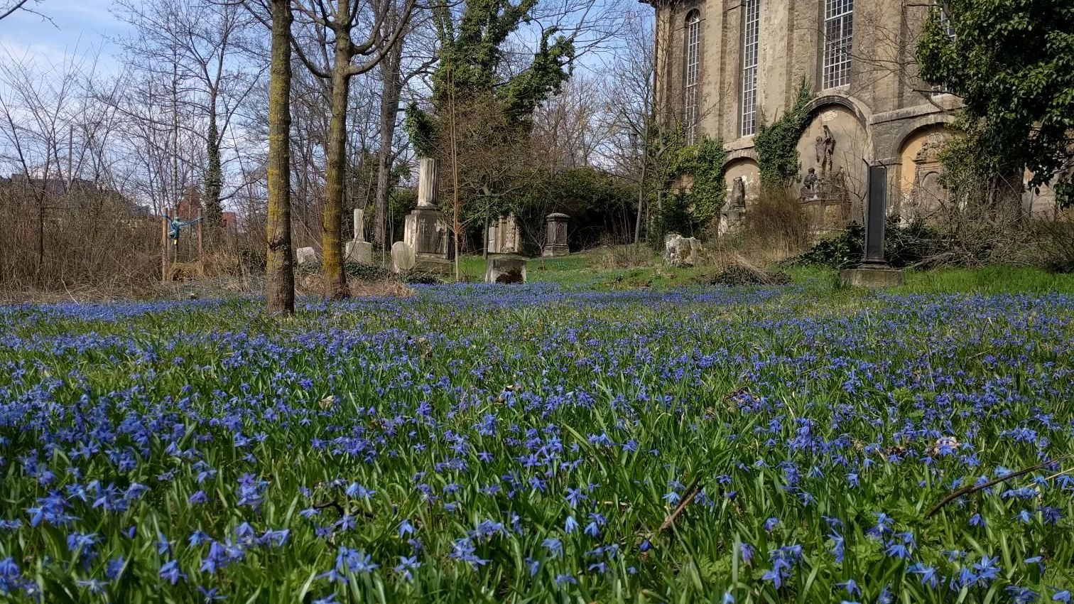 Arbeitseinsatz auf dem Johannisfriedhof