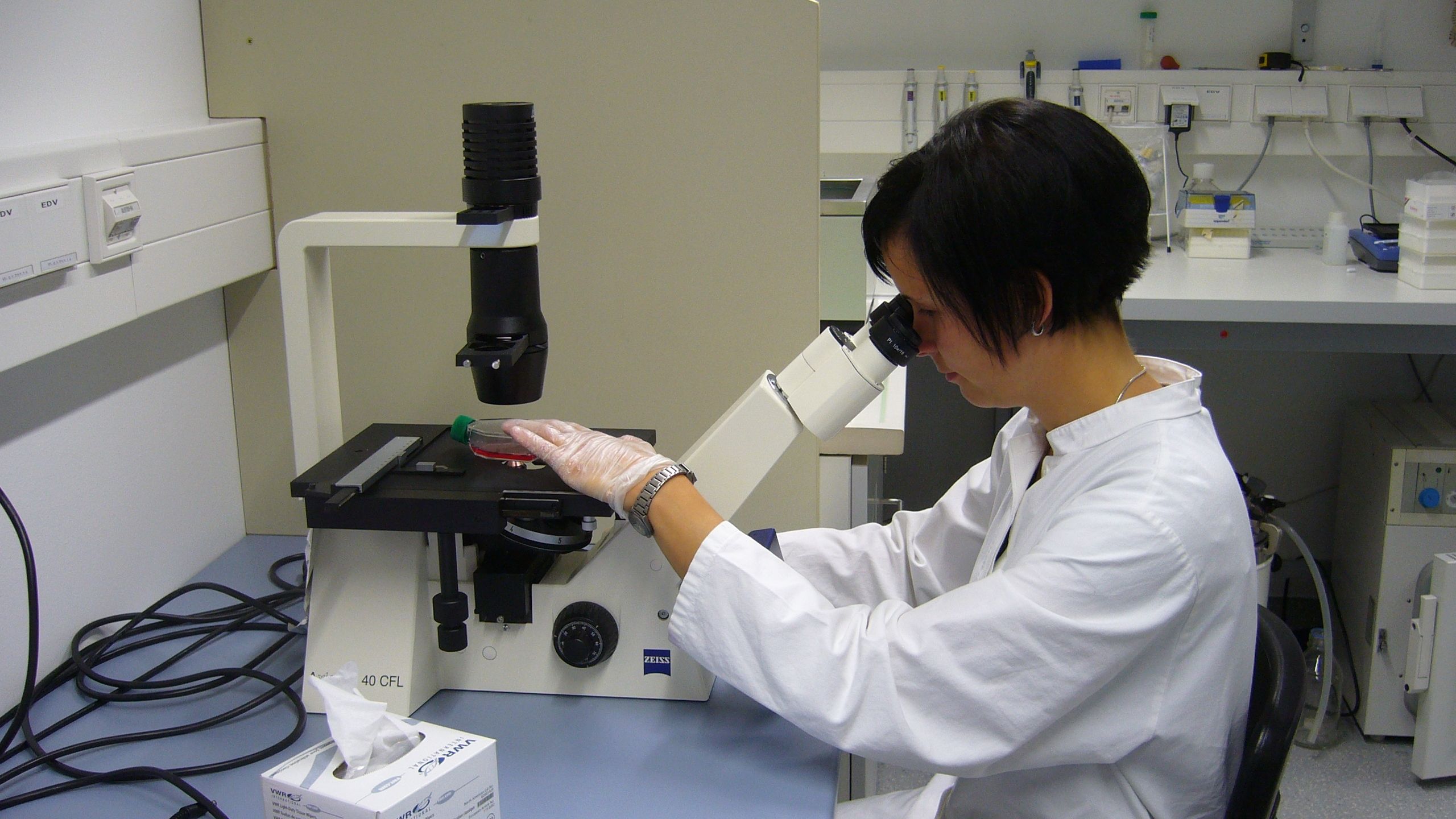 Tierversuche in der Forschung