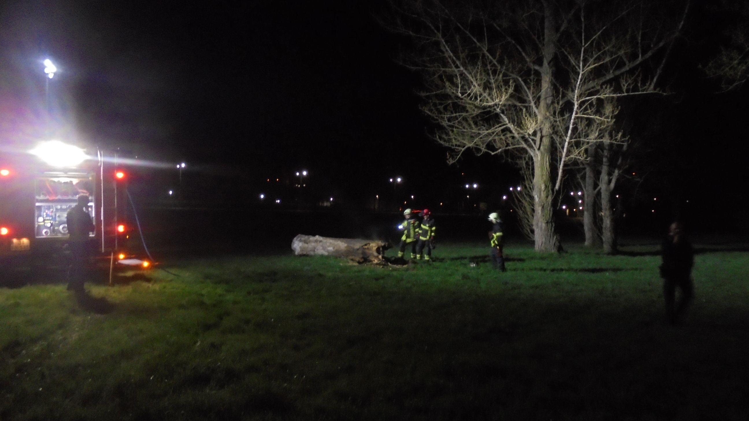 Baumbrand am Märchenbrunnen