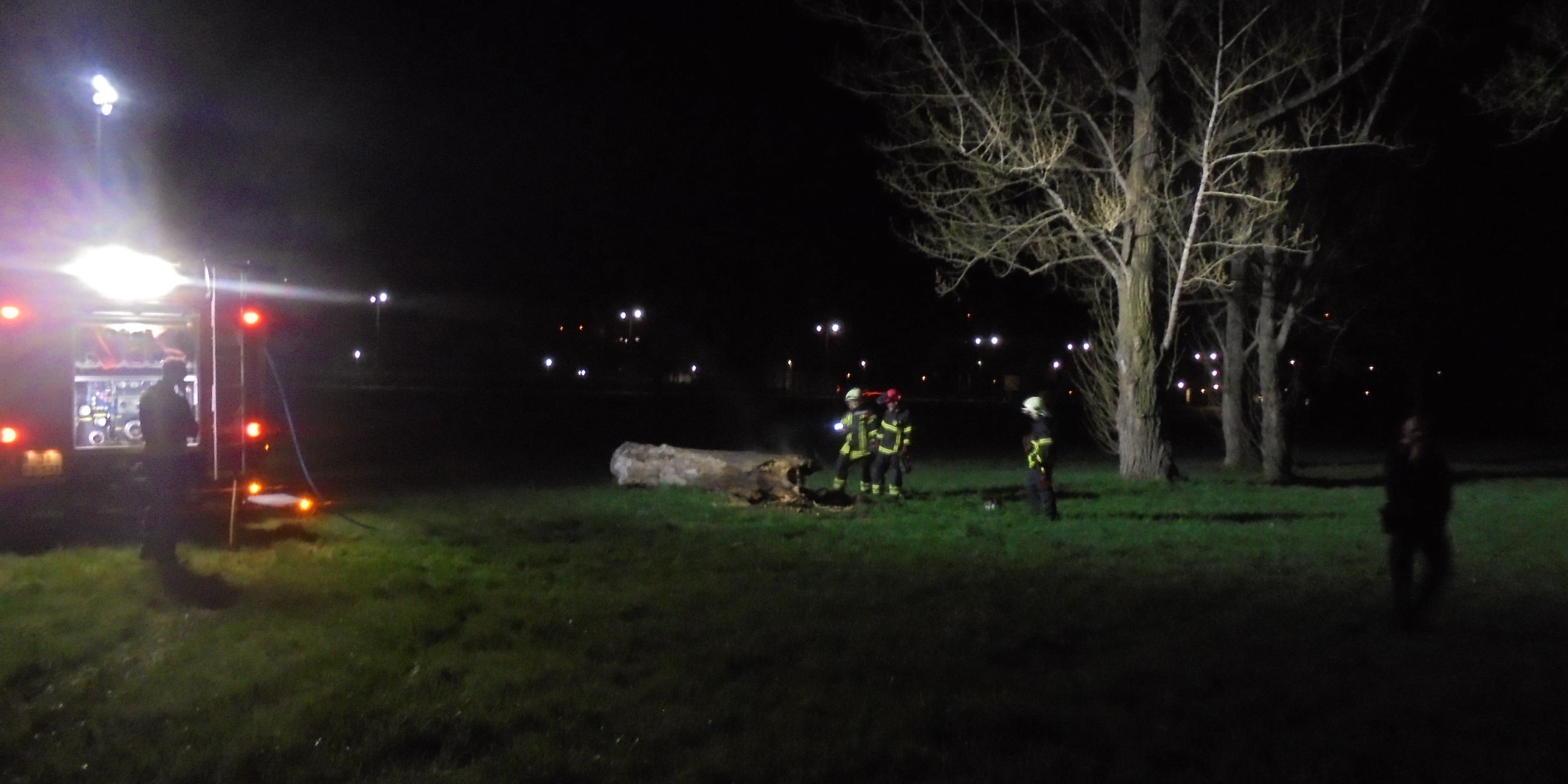 Baumbrand am Märchenbrunnen