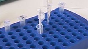 Nanopartikel für lebensrettende Therapien