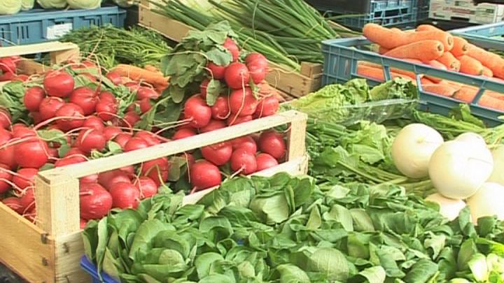 Wie gesund leben Veganer, Vegetarier und Mischköstler?