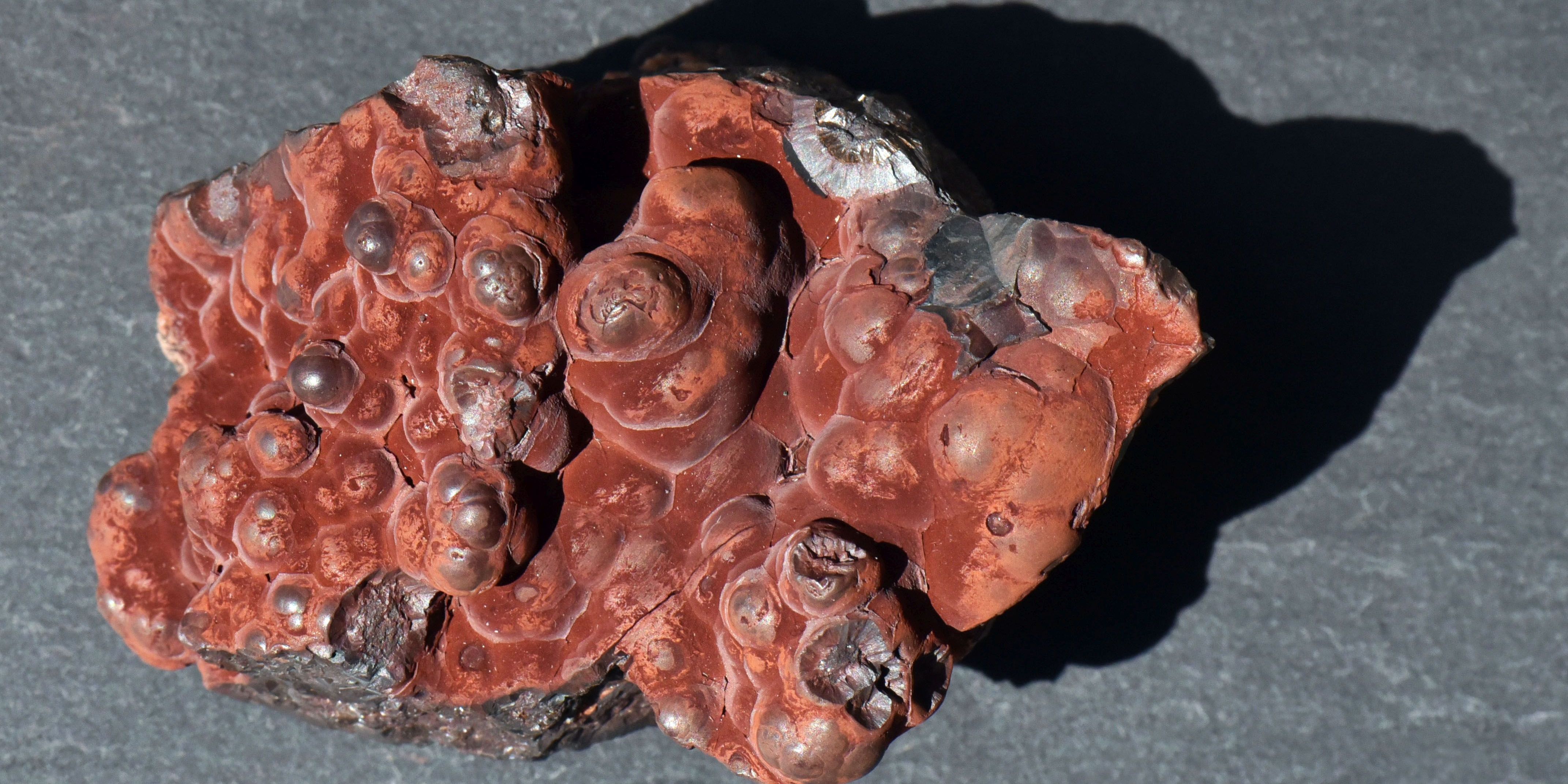 Schätze aus der Thüringer Unterwelt