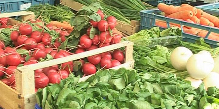 Wie gesund leben Veganer, Vegetarier und Mischköstler?