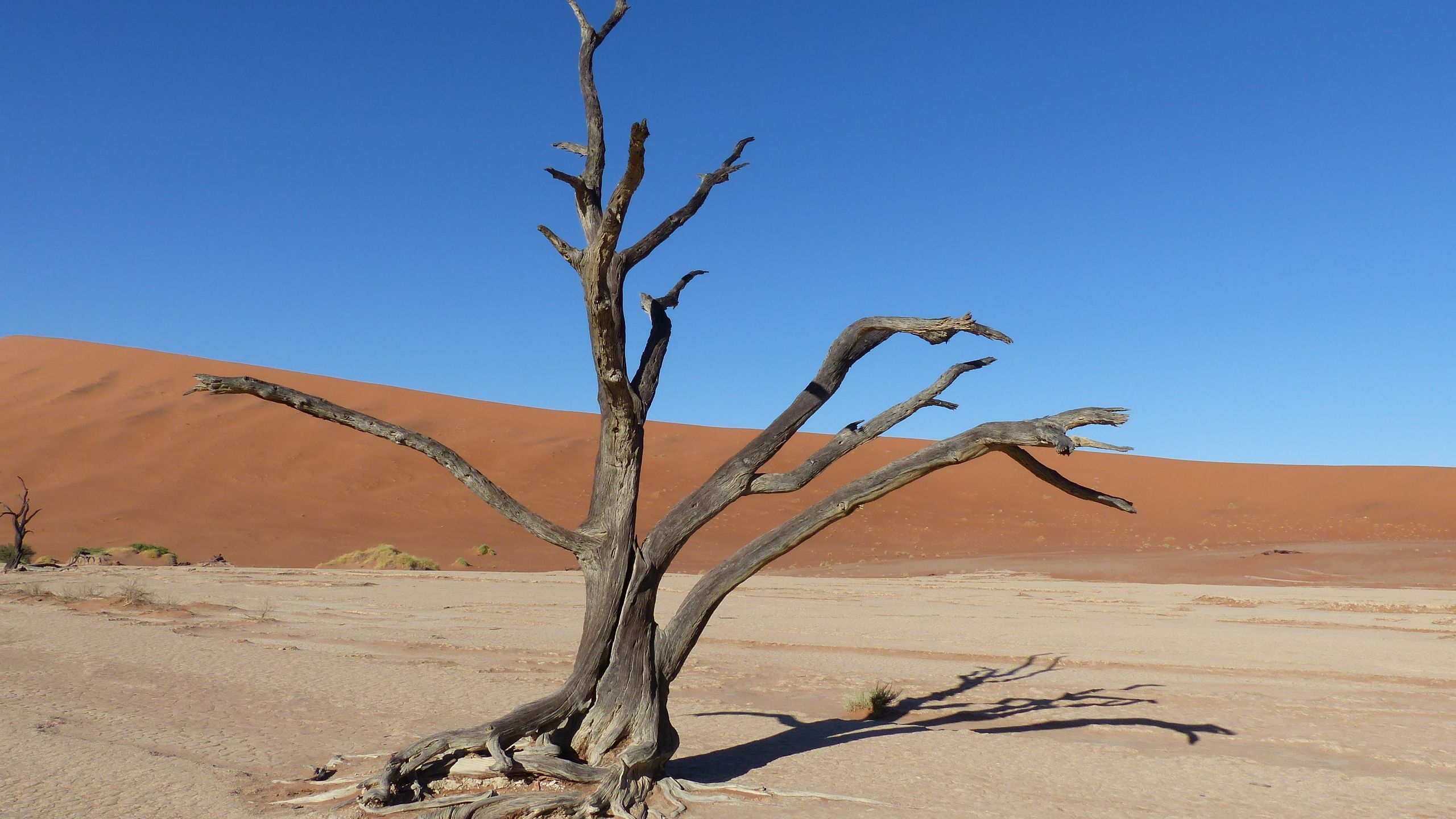 Fotoausstellung: Wüsten der Welt