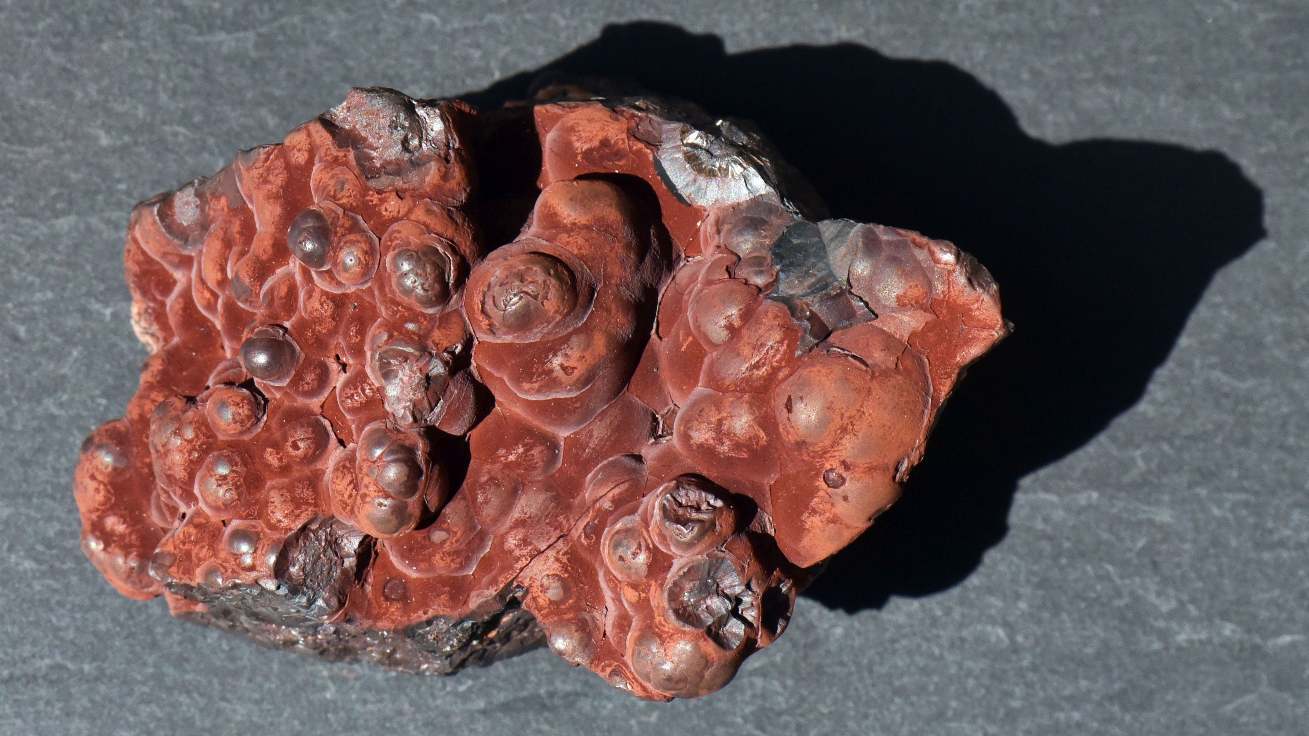 Schätze aus der Thüringer Unterwelt