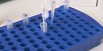 Nanopartikel für lebensrettende Therapien Nanopartikel für lebensrettende Therapien