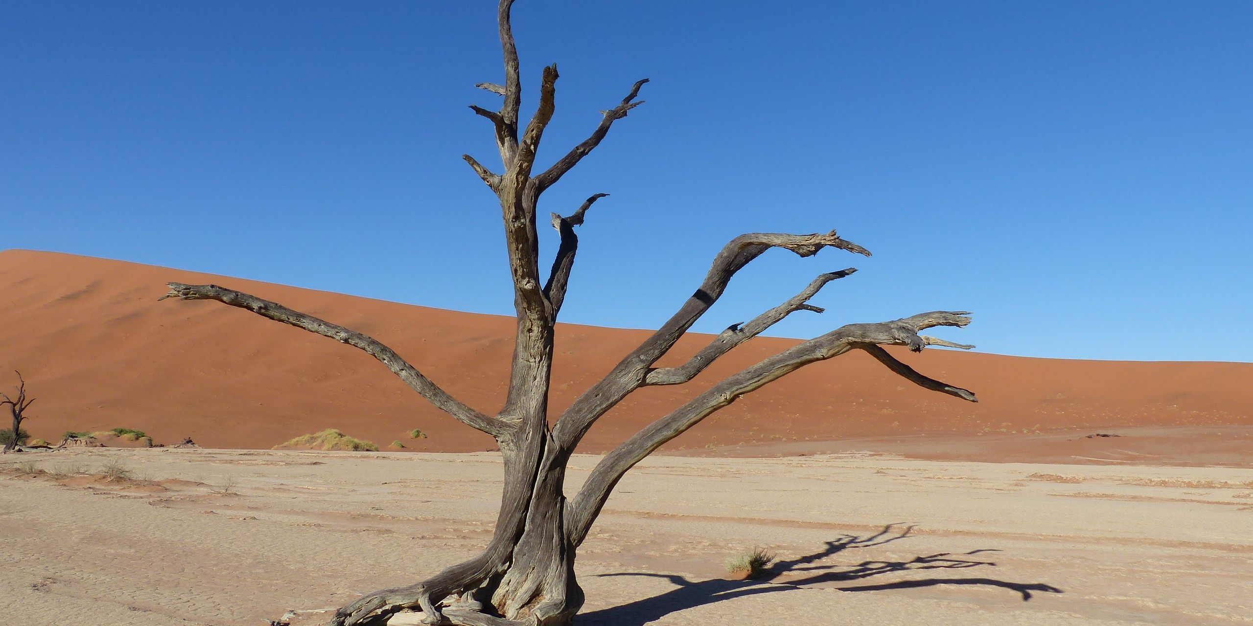 Fotoausstellung: Wüsten der Welt