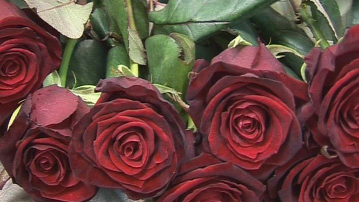 Glückwünsche zur Diamantenen Hochzeit