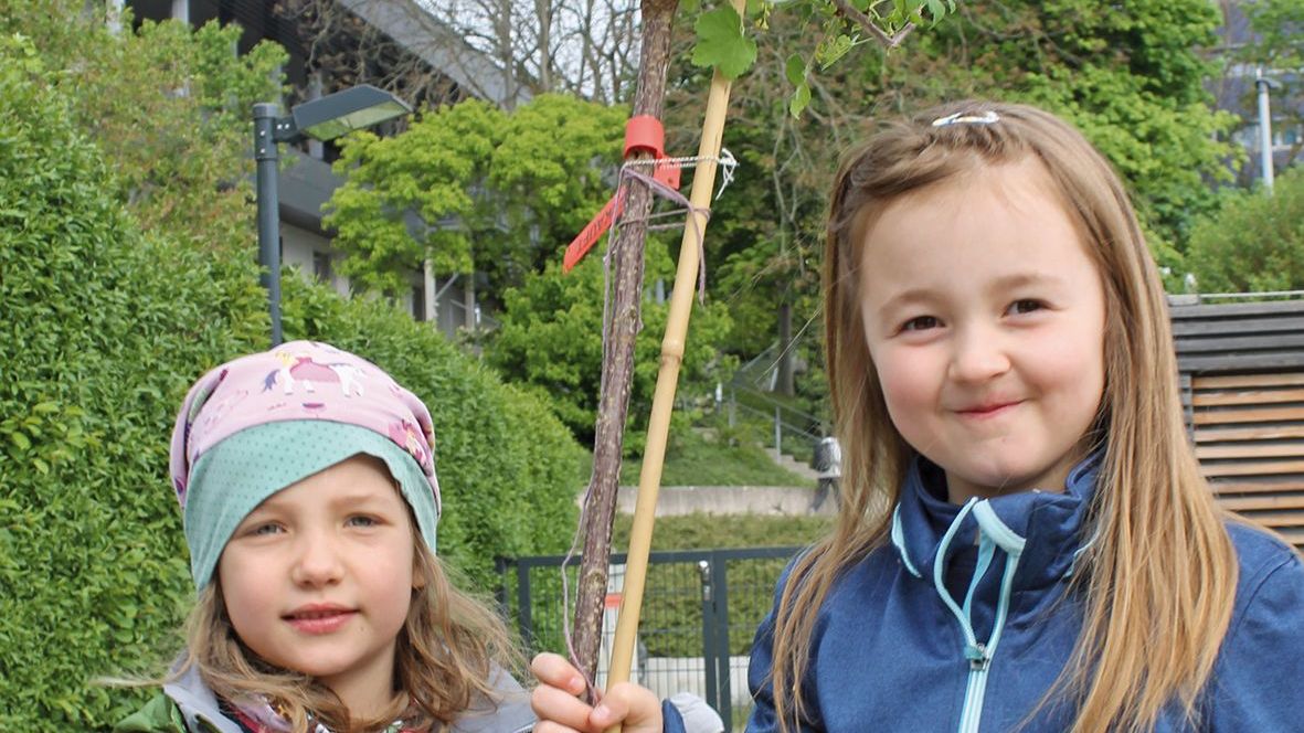 Pflanzprojekt „Ein Kind – Ein Baum“ 