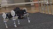 Zum Laufen bringen: Wissenschaftler wollen Bewegungsabläufe auf Roboter übertragen