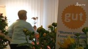 Freiwilligentag: 160 Teilnehmer engagierten sich bei Aktionen der Bürgerstiftung