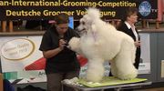 Ausgezeichnet: Internationale Hundefriseurmeisterschaft wurde in Stadtroda ausgetragen